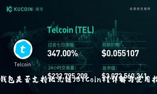 TP钱包是否支持比元链（BYCoin）？详解与使用指南