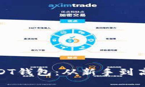 : 如何获得USDT钱包:从新手到高手的全面指南