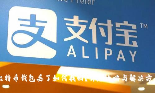 比特币钱包丢了如何找回？详尽攻略与解决方案
