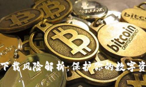 TP钱包下载风险解析：保护你的数字资产安全