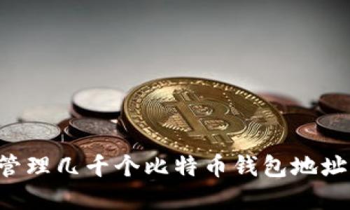 如何生成和管理几千个比特币钱包地址:一步步指南