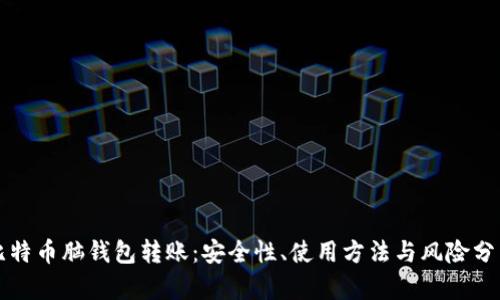 比特币脑钱包转账:安全性、使用方法与风险分析