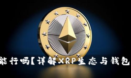 XRP没有钱包能行吗?详解XRP生态与钱包使用的重要性