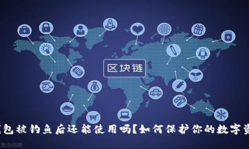 TP钱包被钓鱼后还能使用吗？如何保护你的数字资产？