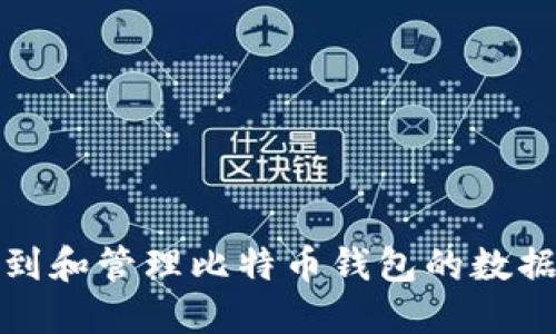 如何找到和管理比特币钱包的数据文件夹