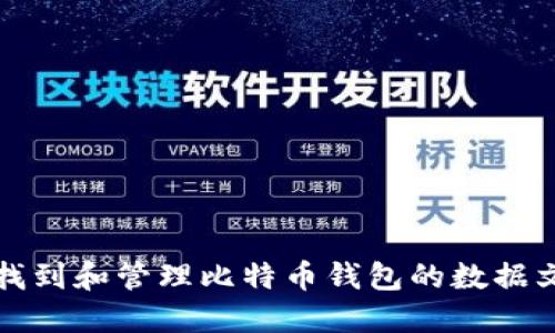 如何找到和管理比特币钱包的数据文件夹