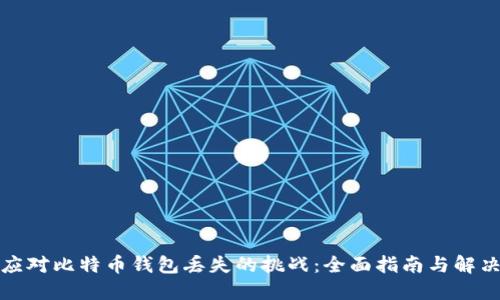 如何应对比特币钱包丢失的挑战：全面指南与解决方案