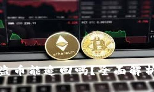 : TP钱包被盗币能追回吗？全面解析与应对策略