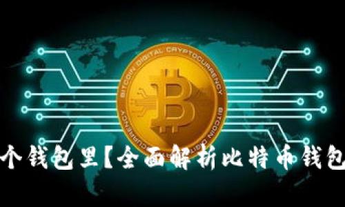 比特币存在哪个钱包里?全面解析比特币钱包的类型与选择