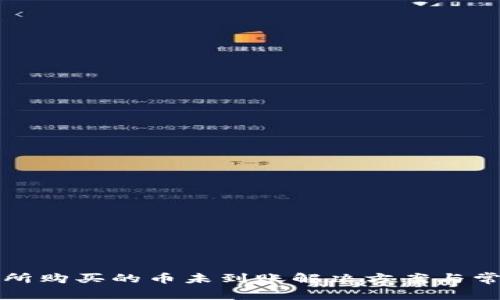 TP钱包交易所购买的币未到账解决方案与常见问题解析