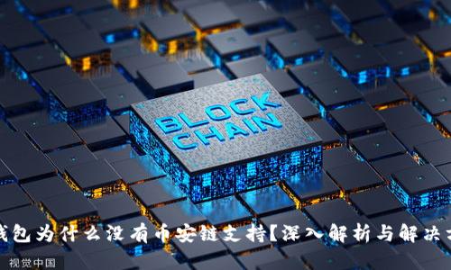 TP钱包为什么没有币安链支持？深入解析与解决方案