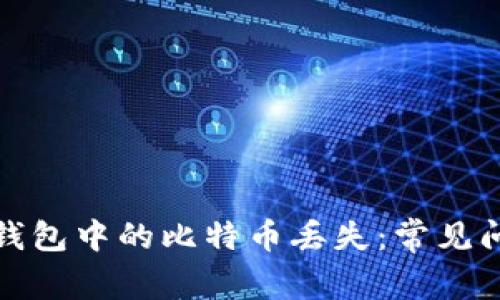 如何应对火币钱包中的比特币丢失:常见问题与解决方案