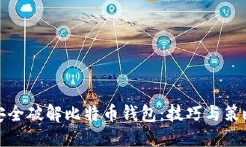 如何安全破解比特币钱包:技巧与策略详解