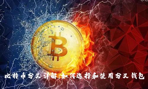 比特币分叉详解：如何选择和使用分叉钱包