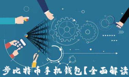 如何有效同步比特币手机钱包?全面解读及技巧指南