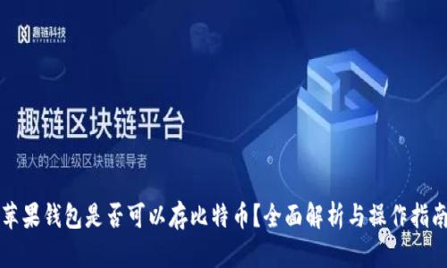 苹果钱包是否可以存比特币?全面解析与操作指南