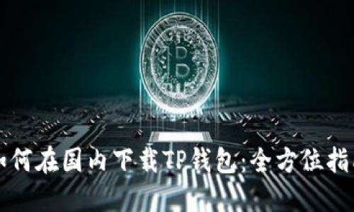 如何在国内下载TP钱包:全方位指南