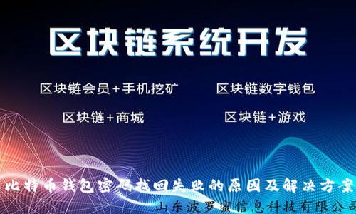 比特币钱包密码找回失败的原因及解决方案
