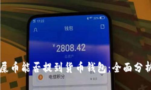 ### 屎币能否提到货币钱包:全面分析与解答